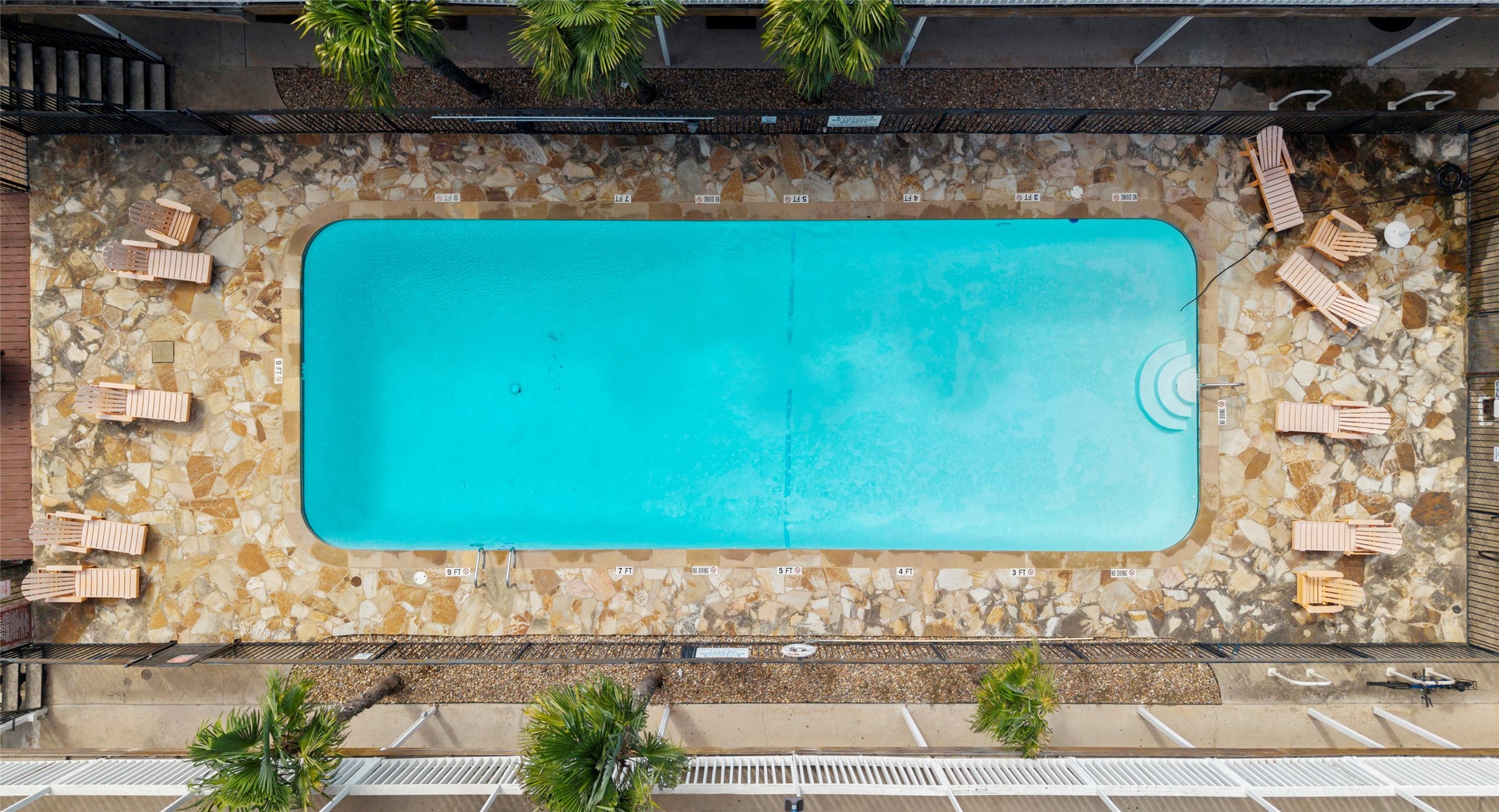 2401 Manor Road, Unit 123 Austin, TX 78722 - Photo 16 of 22 An inviting rectangular pool gleams, surrounded by a flagstone patio and lush palm trees, perfect for relaxation.