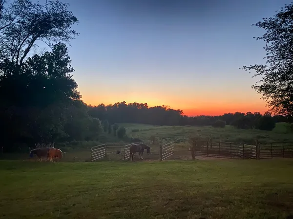 $299,900 | 6180 Crawford Store Road, Springfield, TN 37172