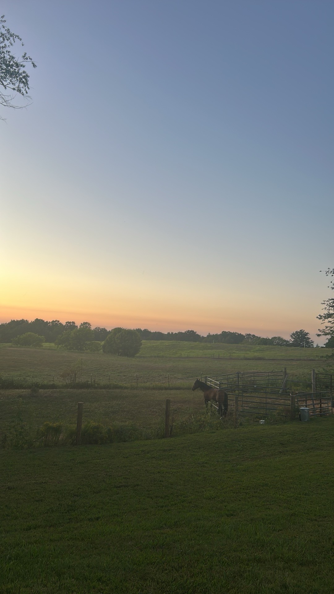 6180 Crawford Store Road Springfield, TN 37172 - Photo 5 of 6