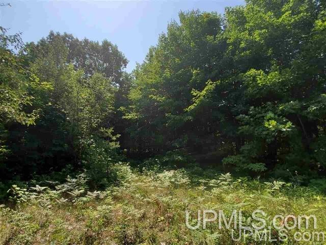 Tbd No 2-3 4 Obenhoff Road Atlantic Mine, MI 49905 - Photo 12 of 32