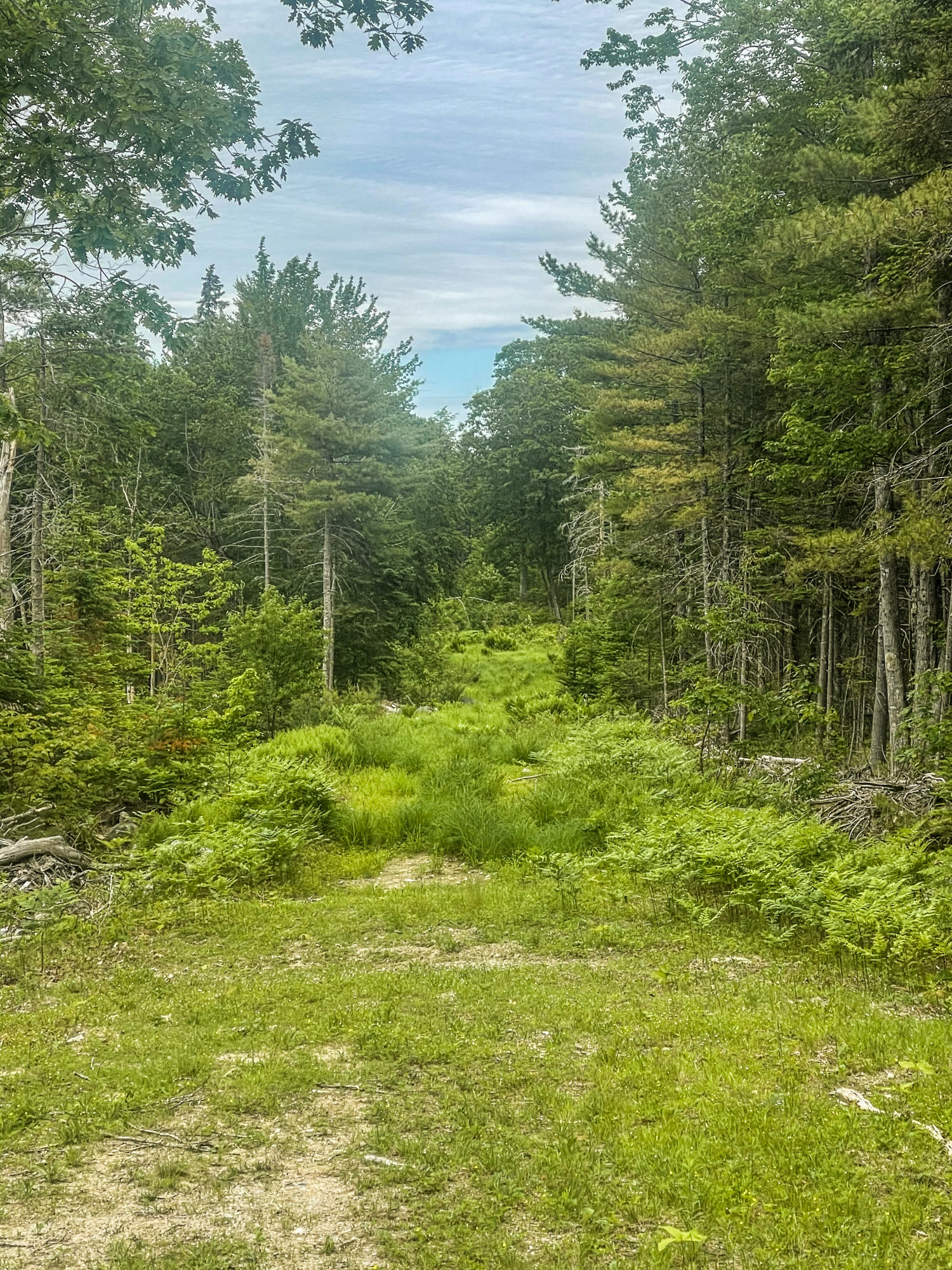 Lot 16 Granite Rock Circle Road Surry, ME 04684 - Photo 2 of 4 JC
