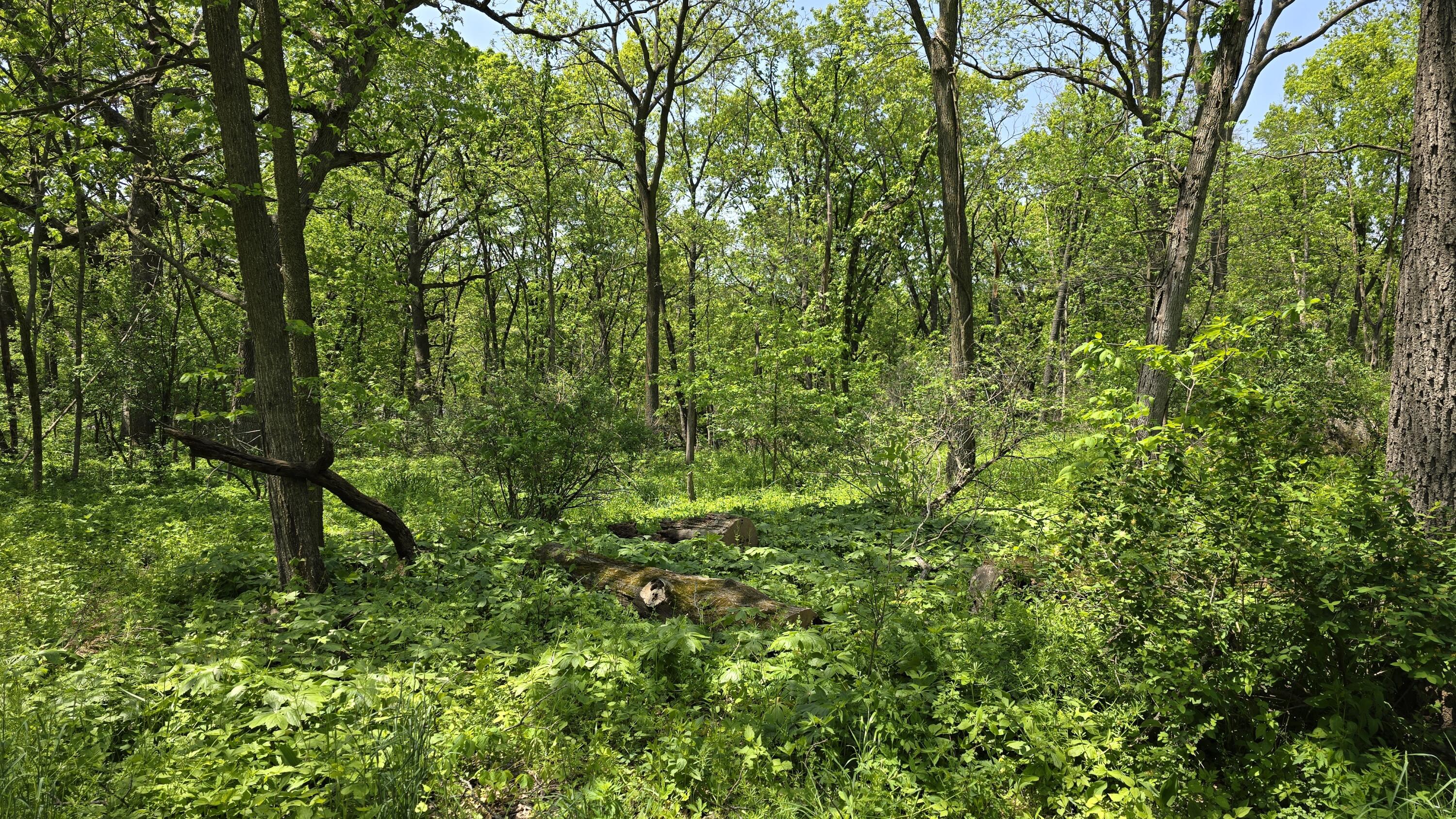 Lt1708 Oak Road Geneva, WI 53147 - Photo 1 of 1 20240515_124734