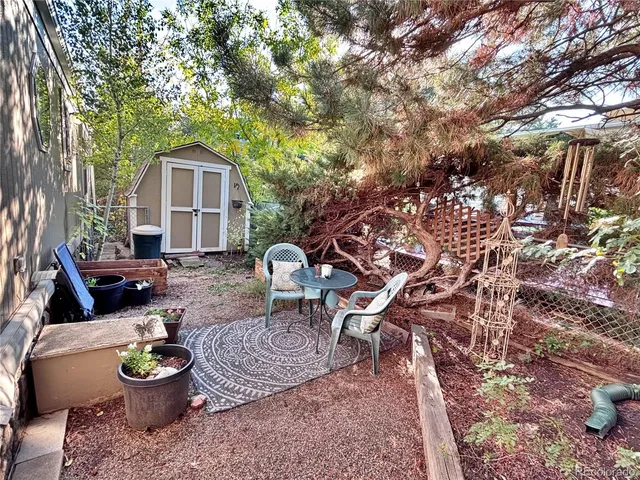 a view of a wooden house with a small yard plants and large tree