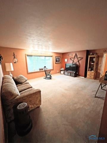 14016 McCavit Road Ney, OH 43549 - Photo 5 of 13 Gallery Image 5