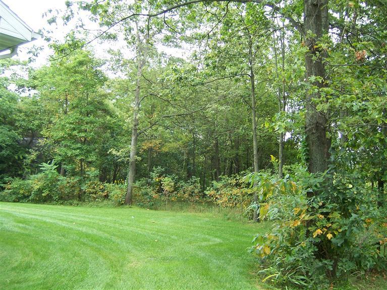1916 Fulkerson Road Niles, MI 49120 - Photo 3 of 17 Additional Photo