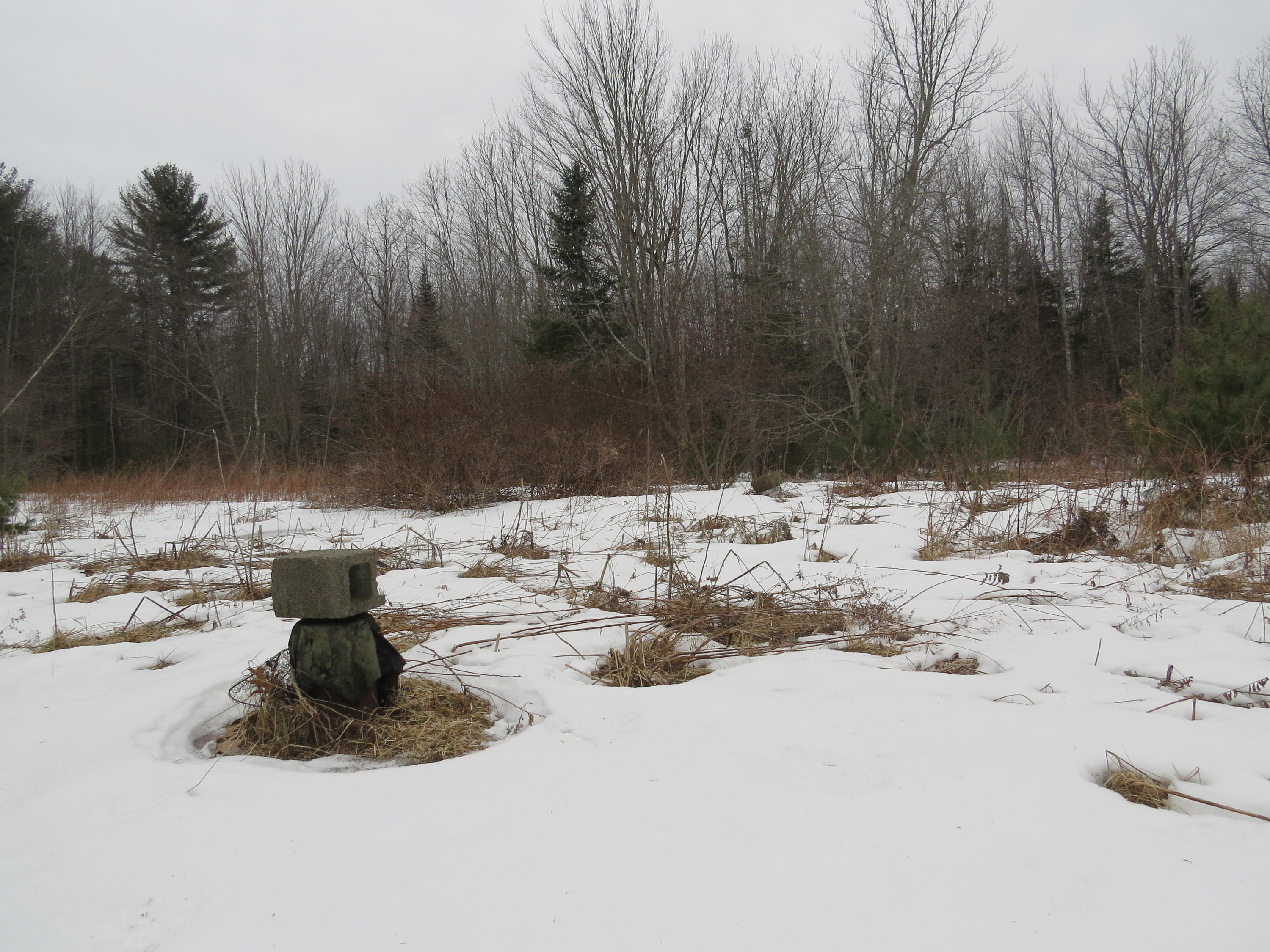 41 Muzzy Ridge Road Searsmont, ME 04973 - Photo 5 of 5 Dug well