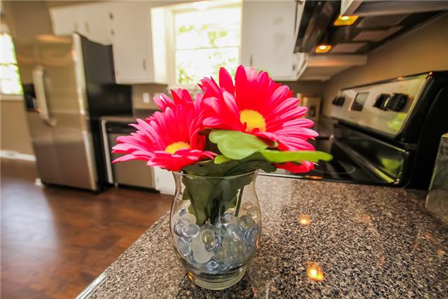 613 Paddy Run Road Clarksville, TN 37042 - Photo 1 of 20 Beautiful kitchen allowing you to explore your inner chef