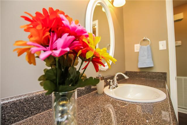 613 Paddy Run Road Clarksville, TN 37042 - Photo 16 of 20 Stunning bathroom with lots of detail