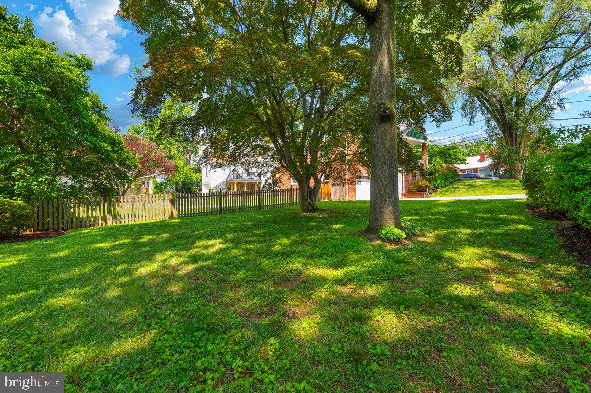 6 East Hamilton Avenue Silver Spring, MD 20901 - Photo 39 of 47 Shaded yard area