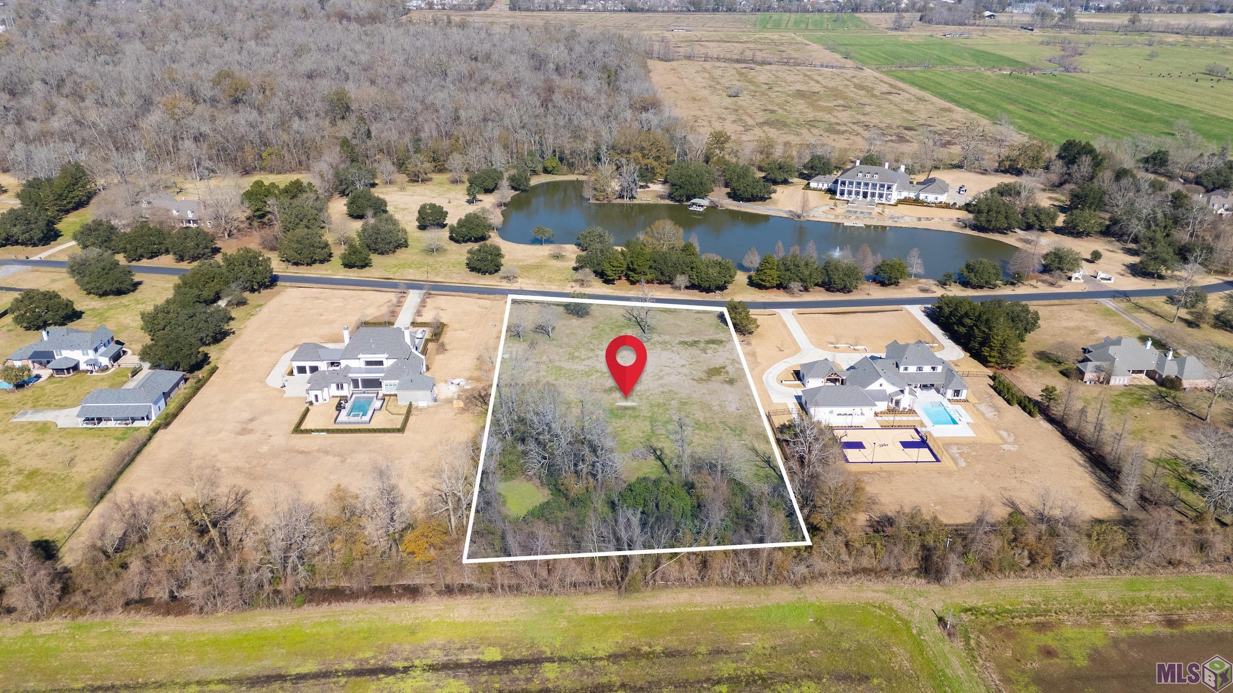 2433 Laurel Lakes Avenue Baton Rouge, LA 70820 - Photo 3 of 6