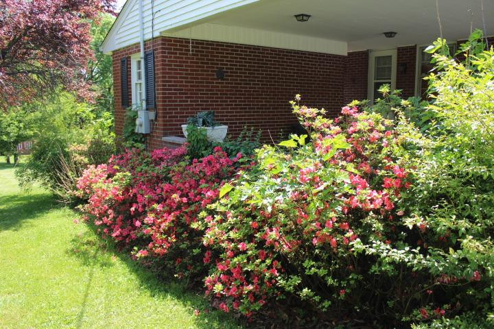 217 Peachbloom Hill Road Berea, KY 40403 - Photo 34 of 40 Listing Photo