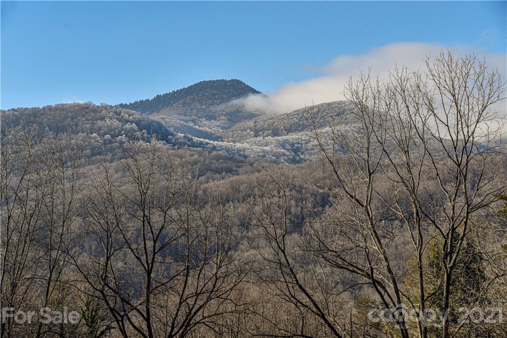 291 Timberlane Road Waynesville, NC 28786 - Photo 7 of 35 Gallery Image 7