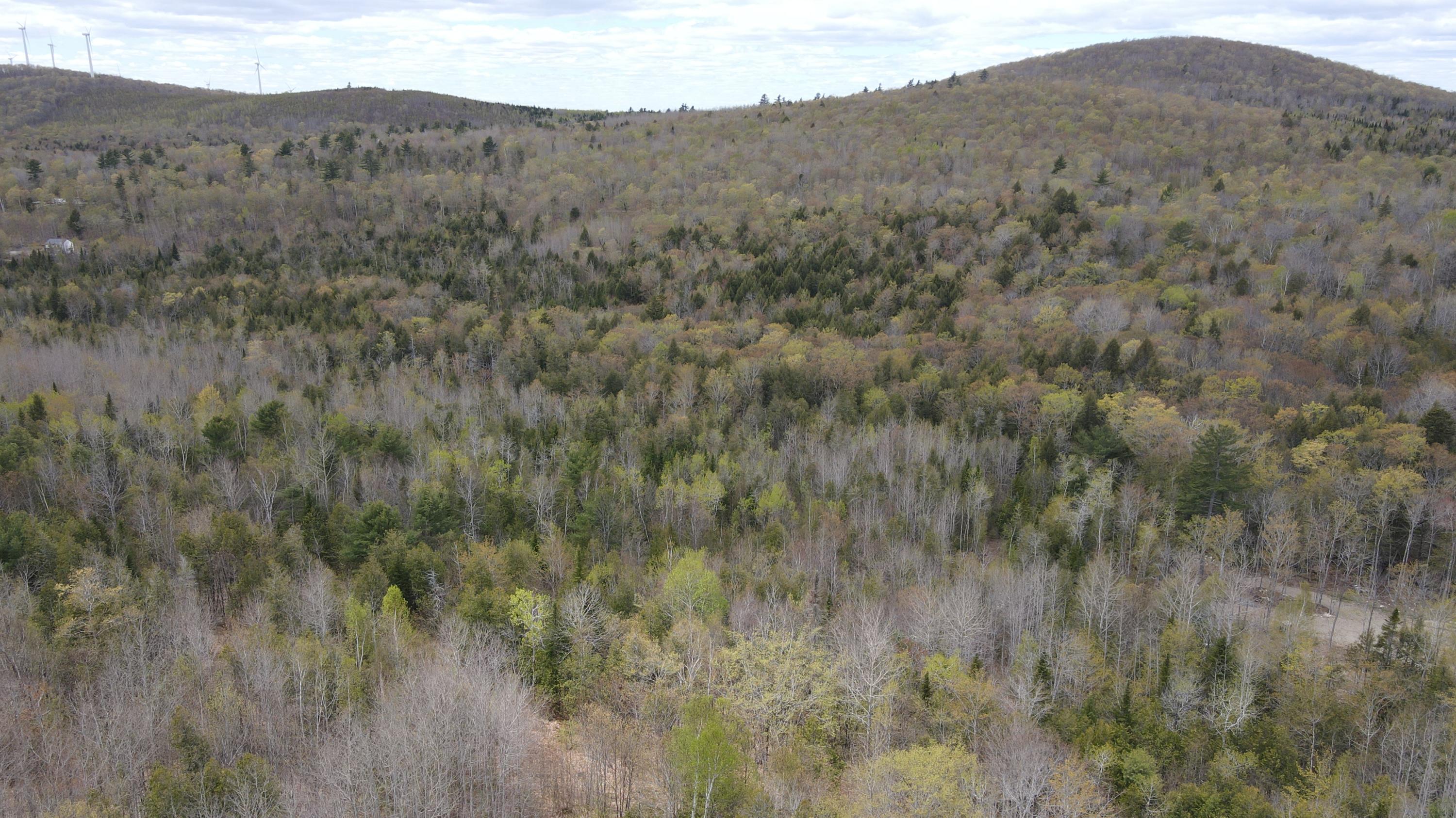 0 South Road Lincoln, ME 04457 - Photo 69 of 75 DJI_0149