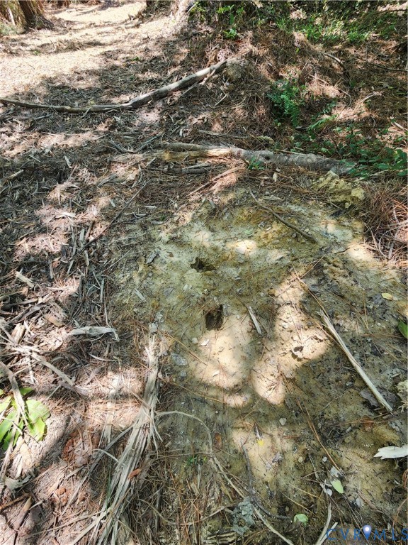 Lot 3 Deep Creek Road Kents Store, VA 23084 - Photo 3 of 10 Great property for wildlife.