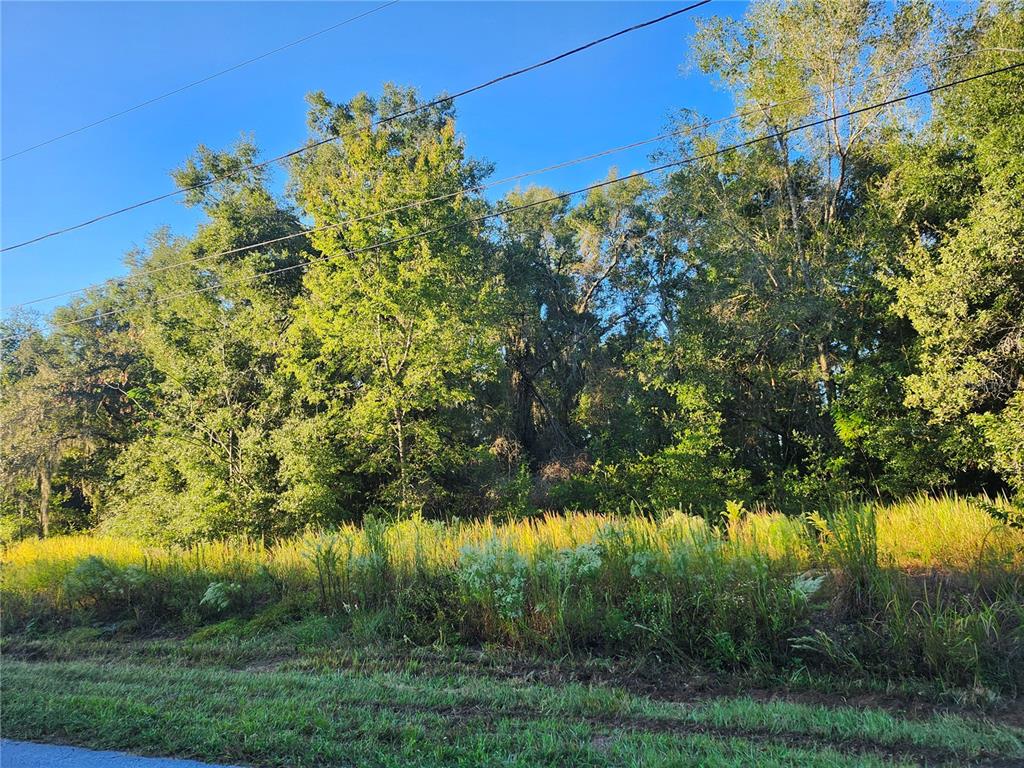 Tbd Willow Road Ocala, FL 34472 - Photo 3 of 9