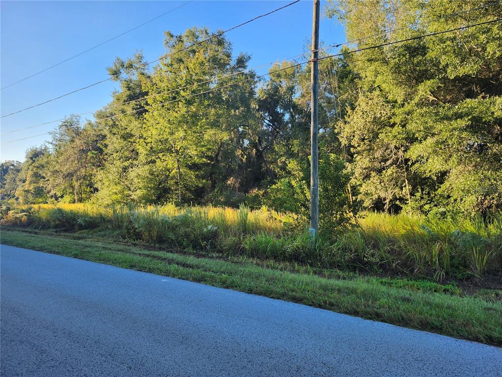 Tbd Willow Road Ocala, FL 34472 - Photo 6 of 9
