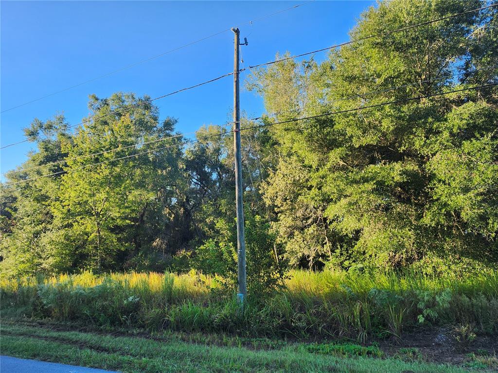 Tbd Willow Road Ocala, FL 34472 - Photo 8 of 9