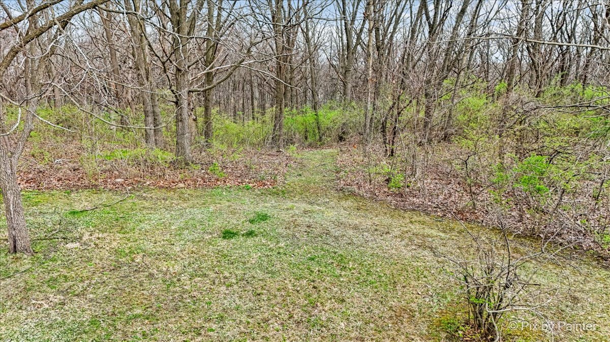 1310 South Fleming Road Bull Valley, IL 60098 - Photo 48 of 55