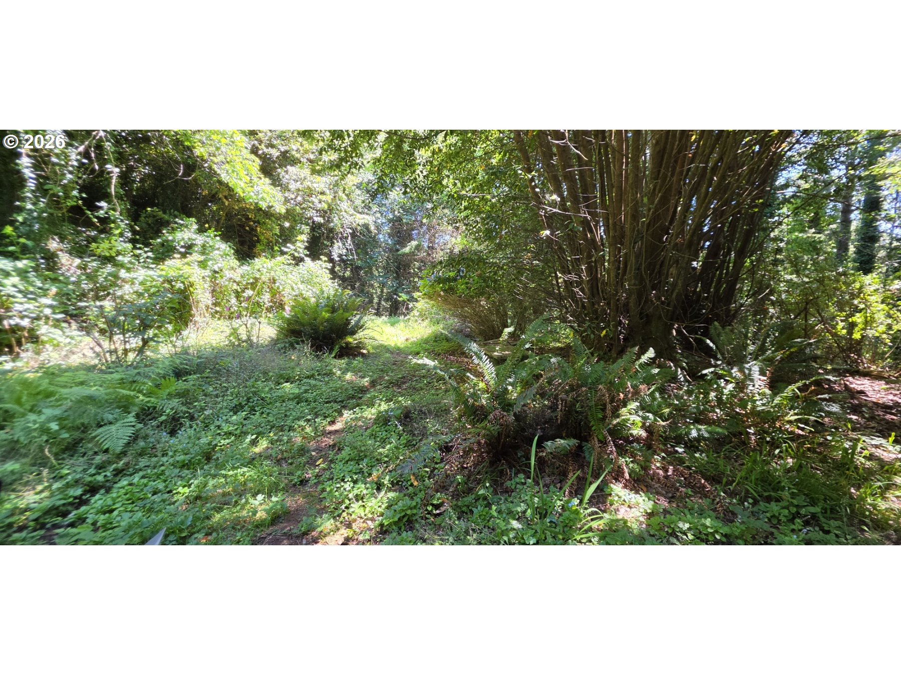 28413 Mateer Road Gold Beach, OR 97444 - Photo 36 of 38