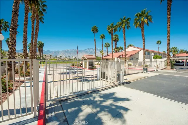 a view of a street with palm trees