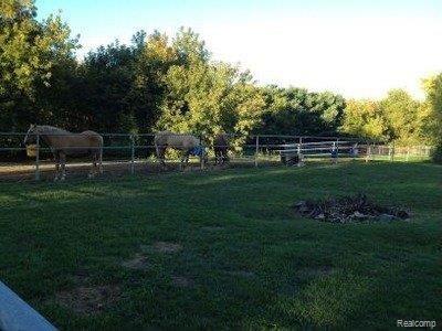 10100 Cook Road Hartland, MI 48353 - Photo 11 of 21 Side Pasture