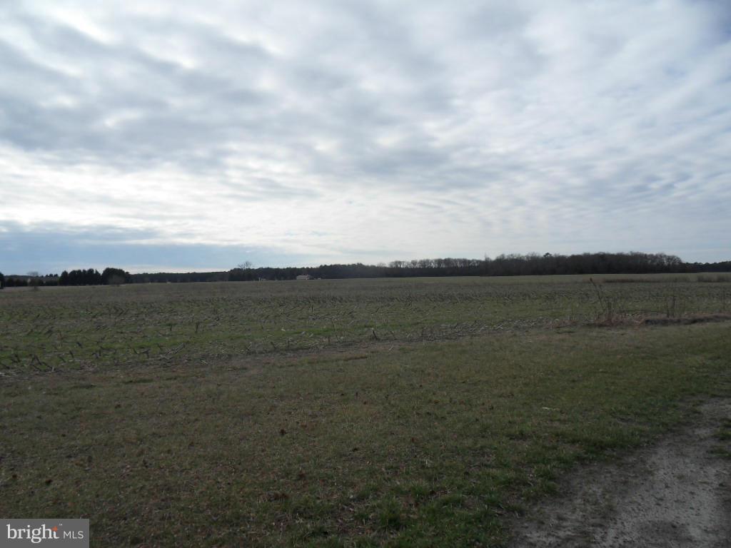 5995 Windsor Road Rhodesdale, MD 21659 - Photo 11 of 27 View