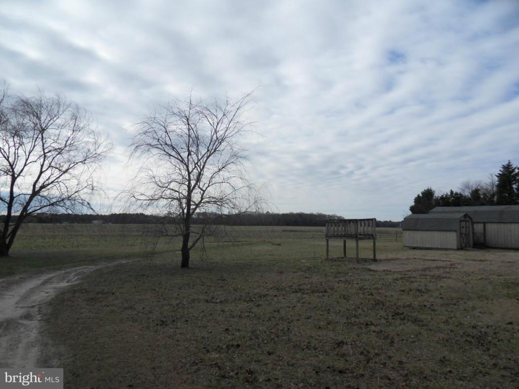 5995 Windsor Road Rhodesdale, MD 21659 - Photo 12 of 27 View
