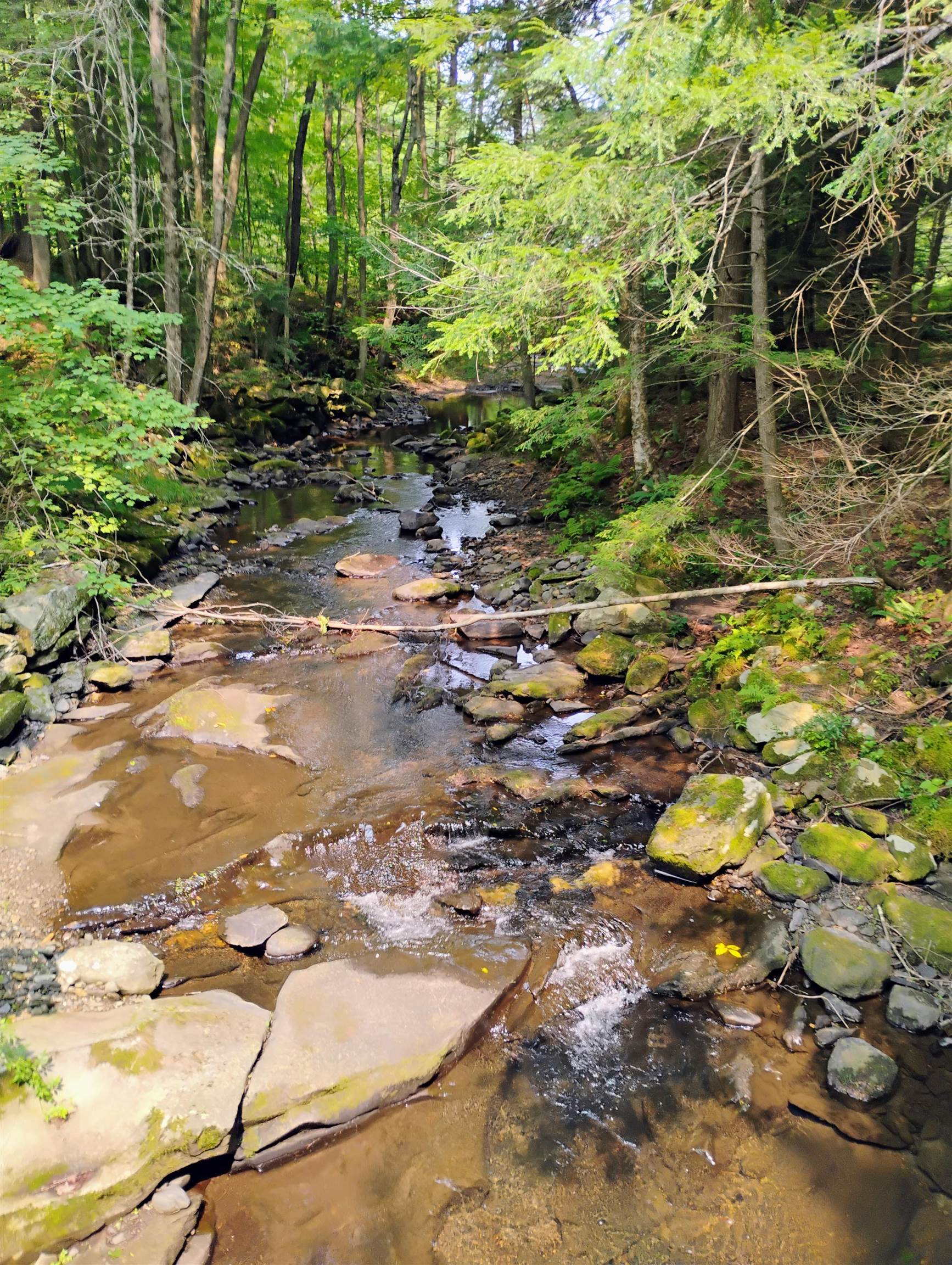 763 Center Road Cornish, NH 03745 - Photo 12 of 13