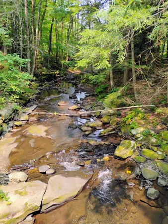 $176,900 | 763 Center Road, Cornish, NH 03745