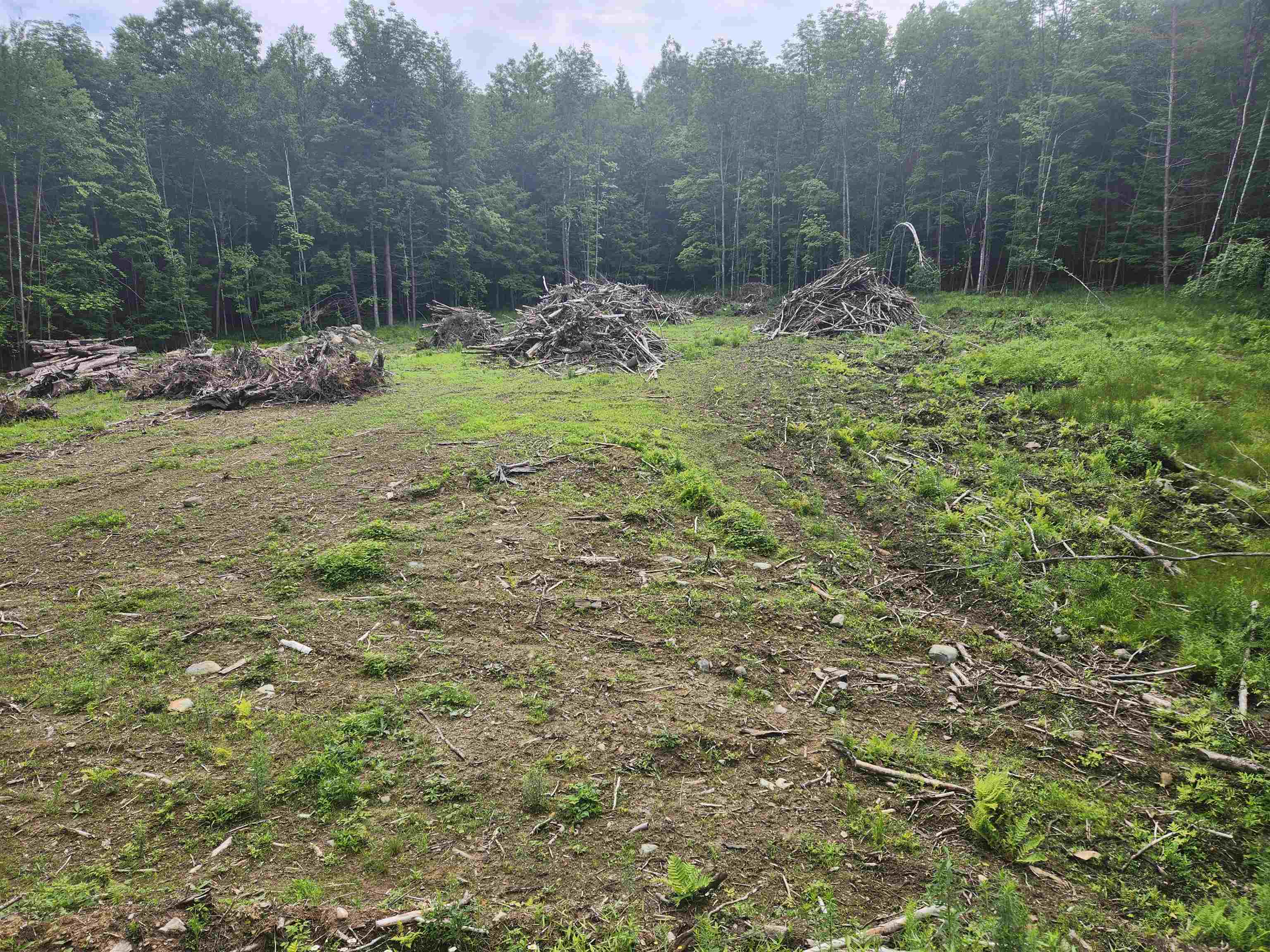 763 Center Road Cornish, NH 03745 - Photo 5 of 13