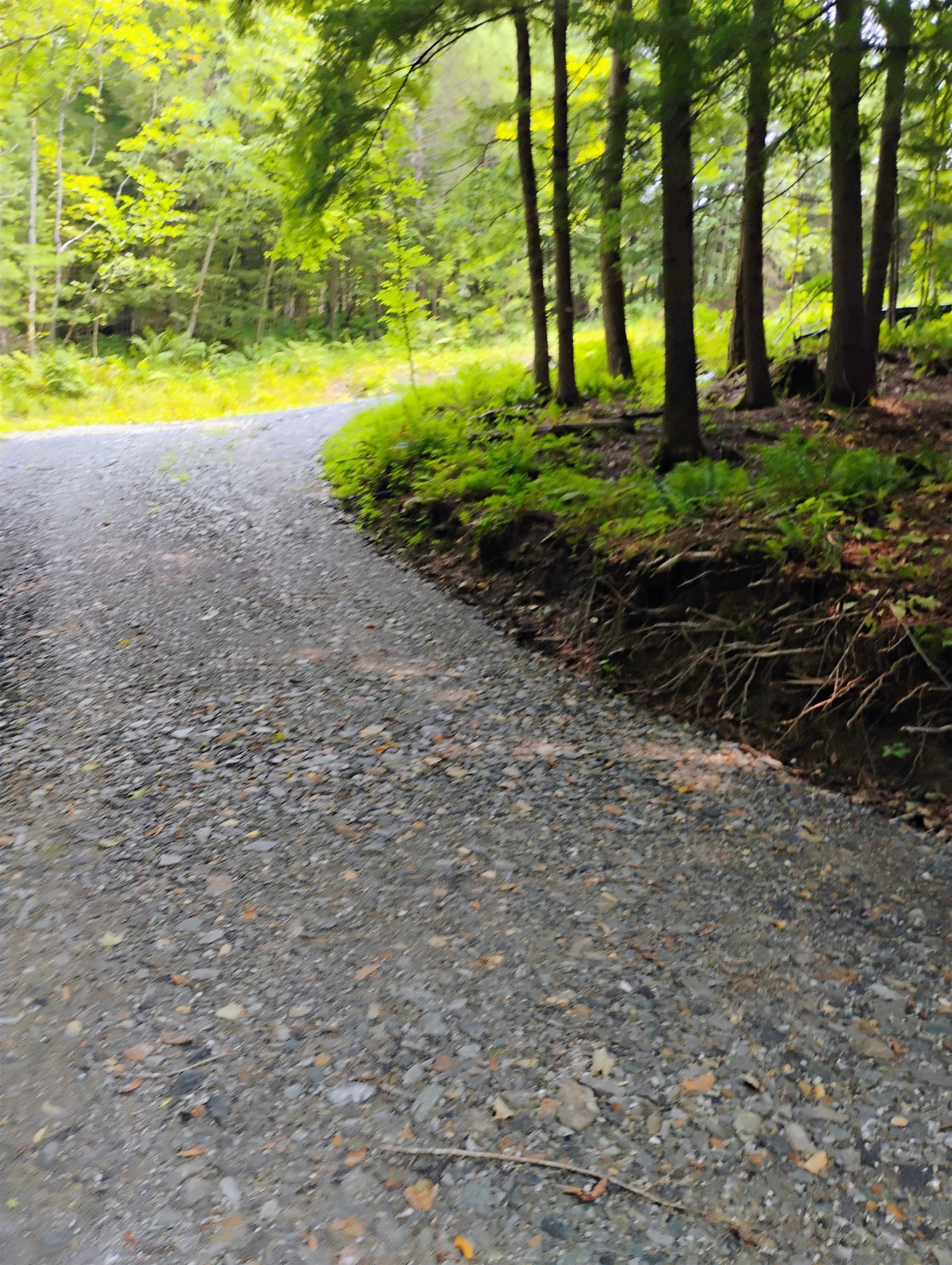 763 Center Road Cornish, NH 03745 - Photo 8 of 13