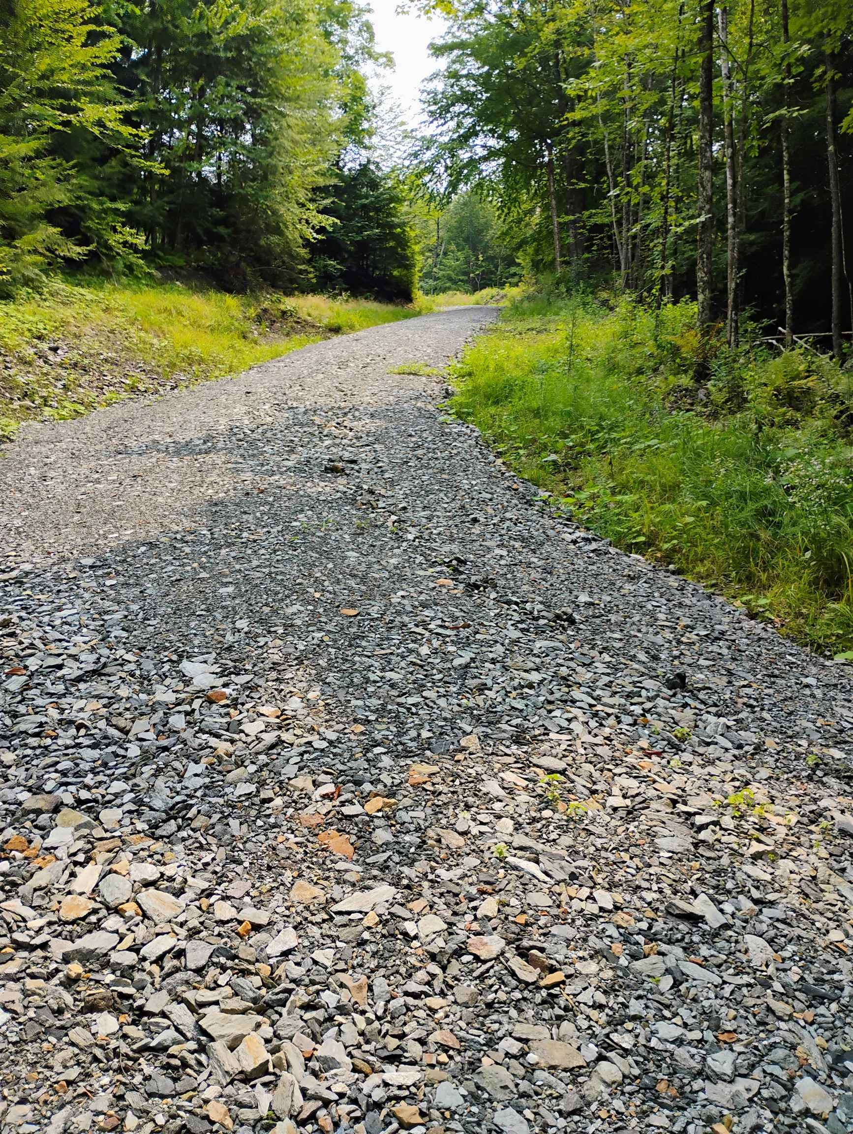 763 Center Road Cornish, NH 03745 - Photo 9 of 13