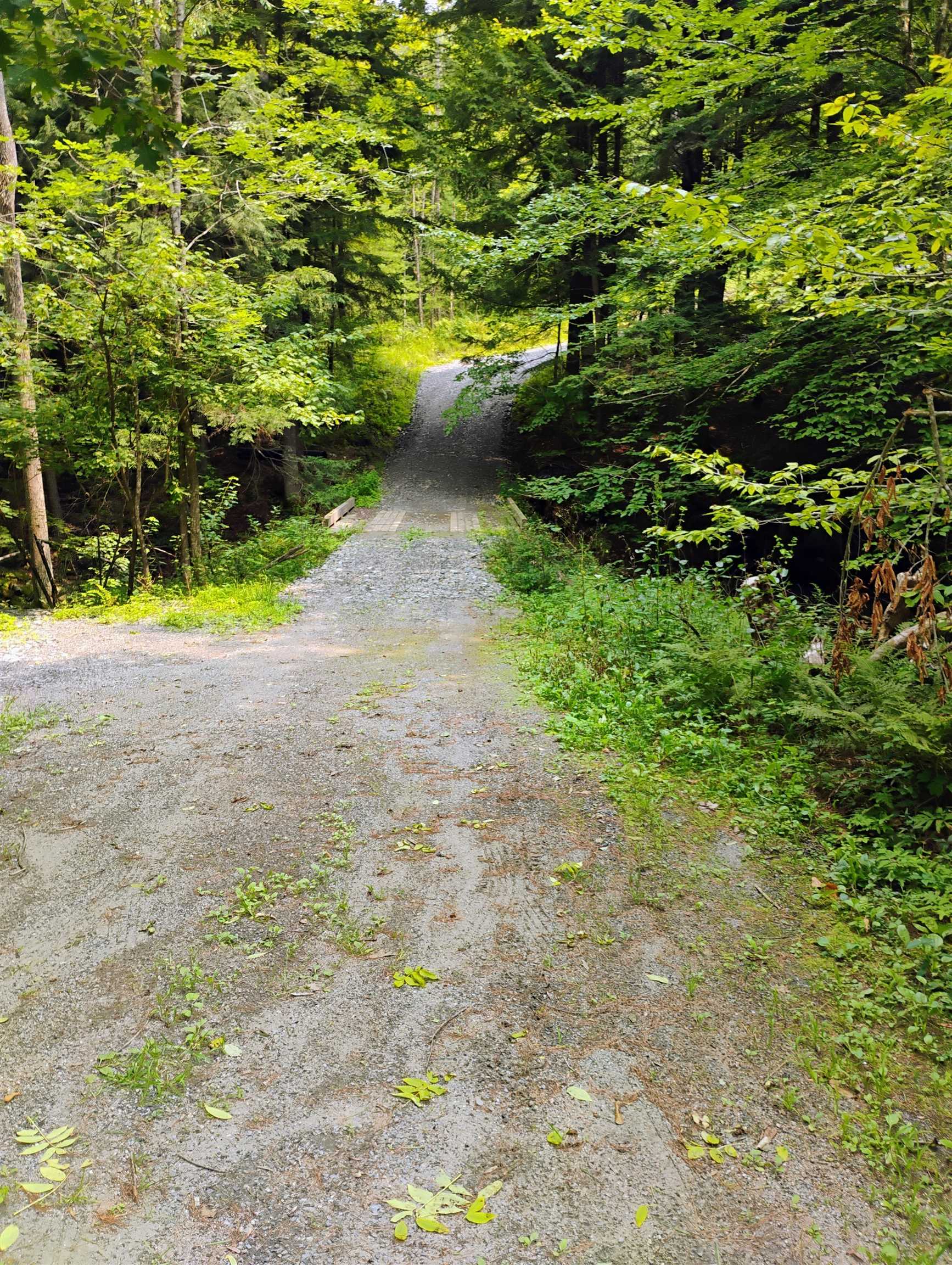 763 Center Road Cornish, NH 03745 - Photo 10 of 13