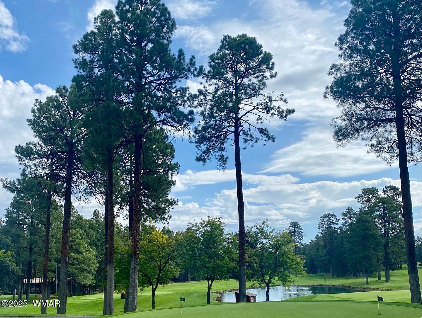 4527 Resort Loop Pinetop, AZ 85935 - Photo 18 of 27 Golfing In The White Mountains