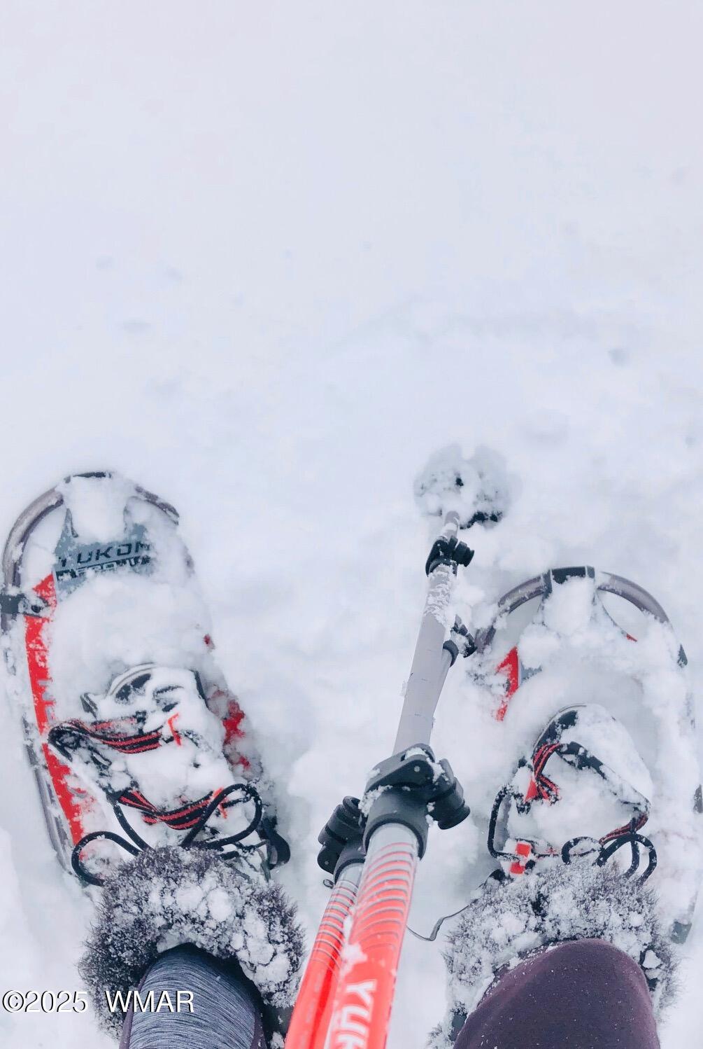 4527 Resort Loop Pinetop, AZ 85935 - Photo 19 of 27 Snow Shoeing In The White Mountains