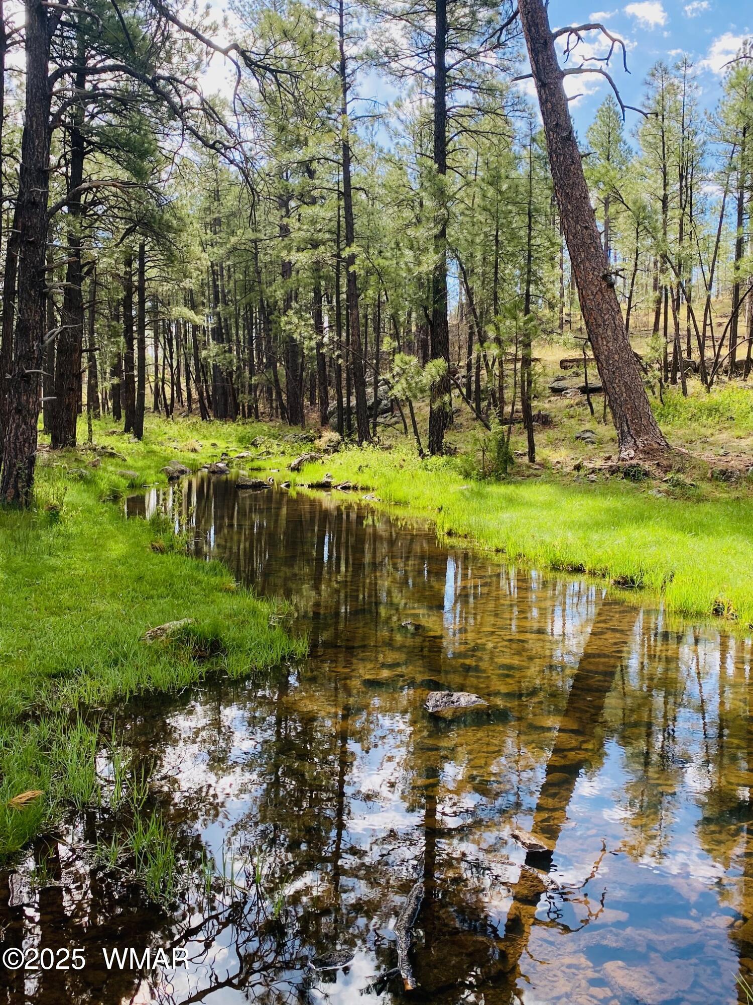 4527 Resort Loop Pinetop, AZ 85935 - Photo 20 of 27 Trails In The White Mountains