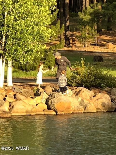 4527 Resort Loop Pinetop, AZ 85935 - Photo 22 of 27 Fishing In The White Mountains