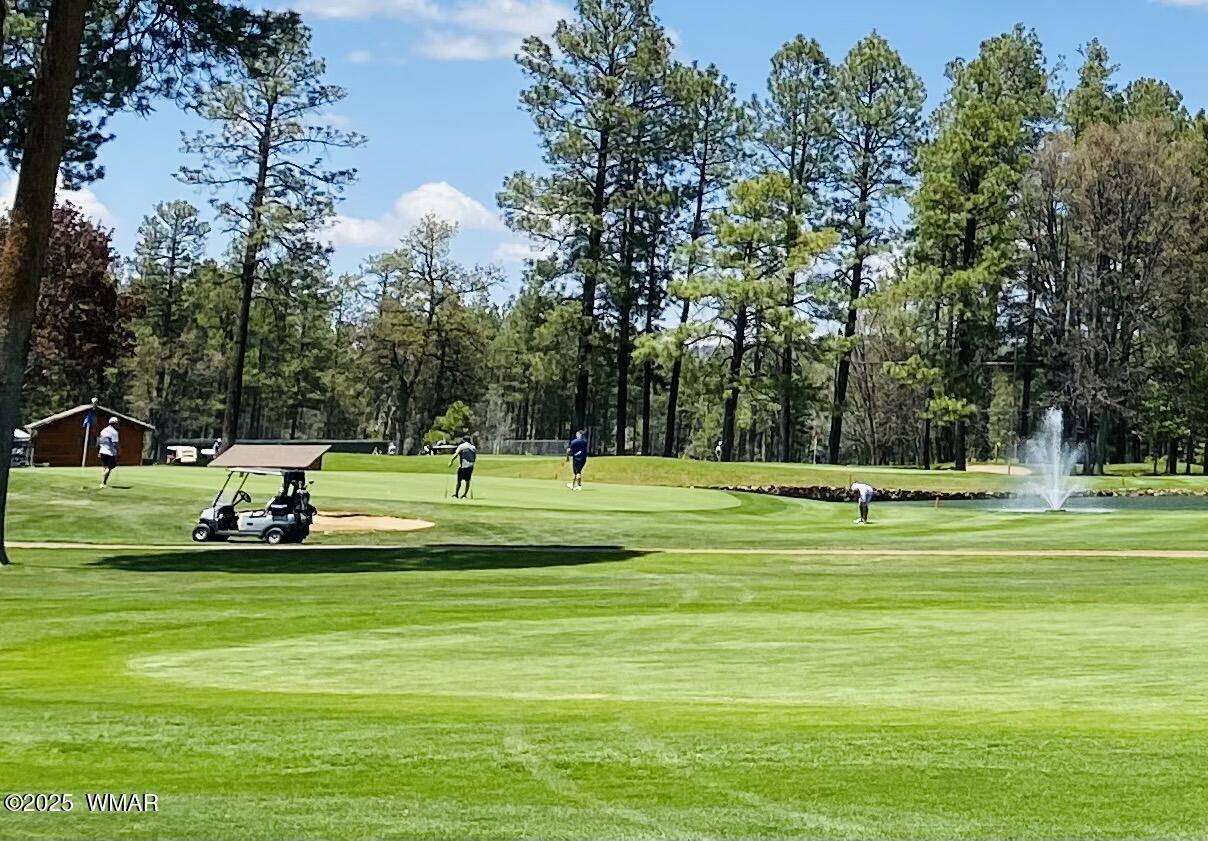 4527 Resort Loop Pinetop, AZ 85935 - Photo 23 of 27 Golf In The White Mountains