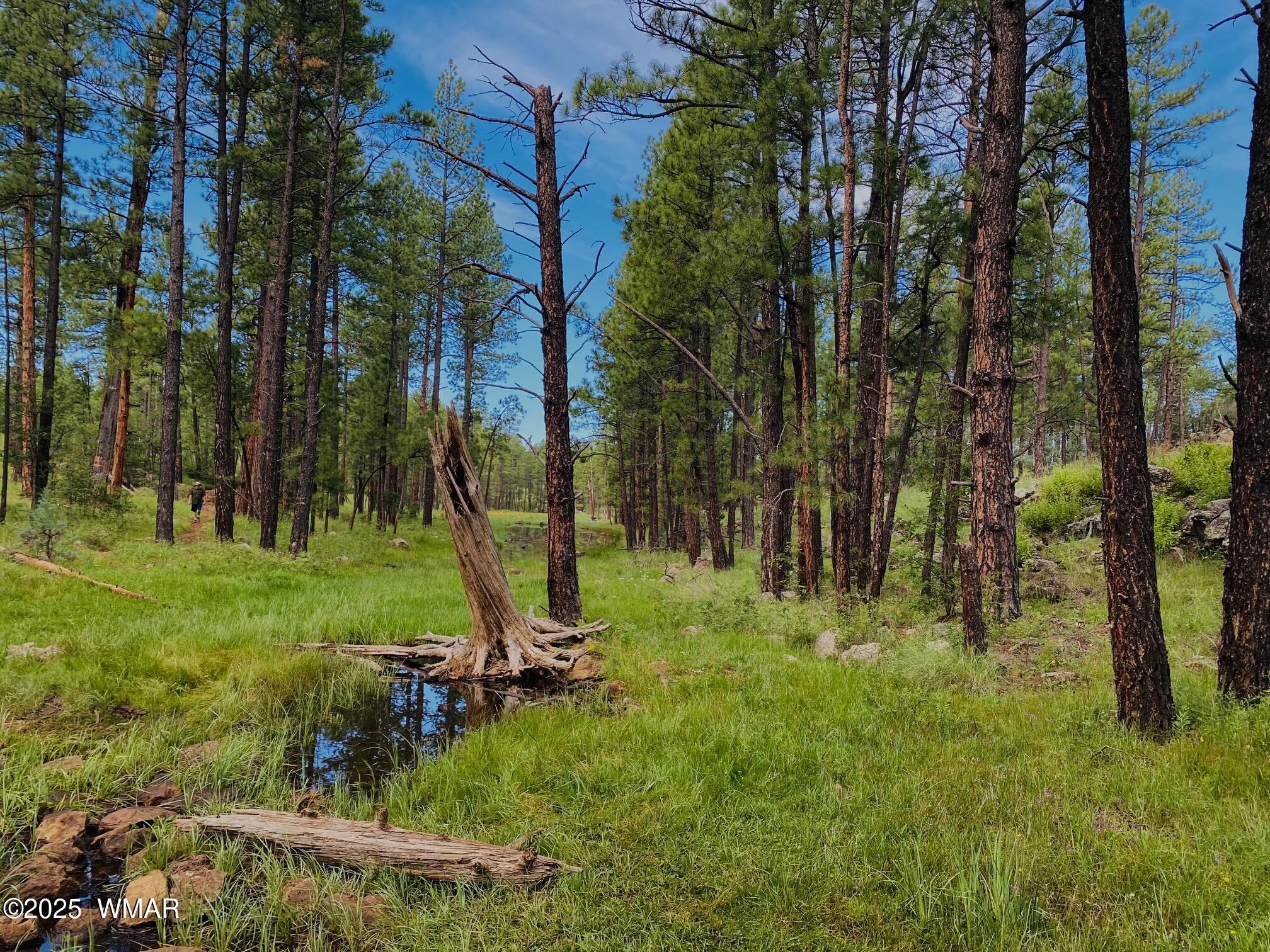 4527 Resort Loop Pinetop, AZ 85935 - Photo 24 of 27 Trails In The White Mountains