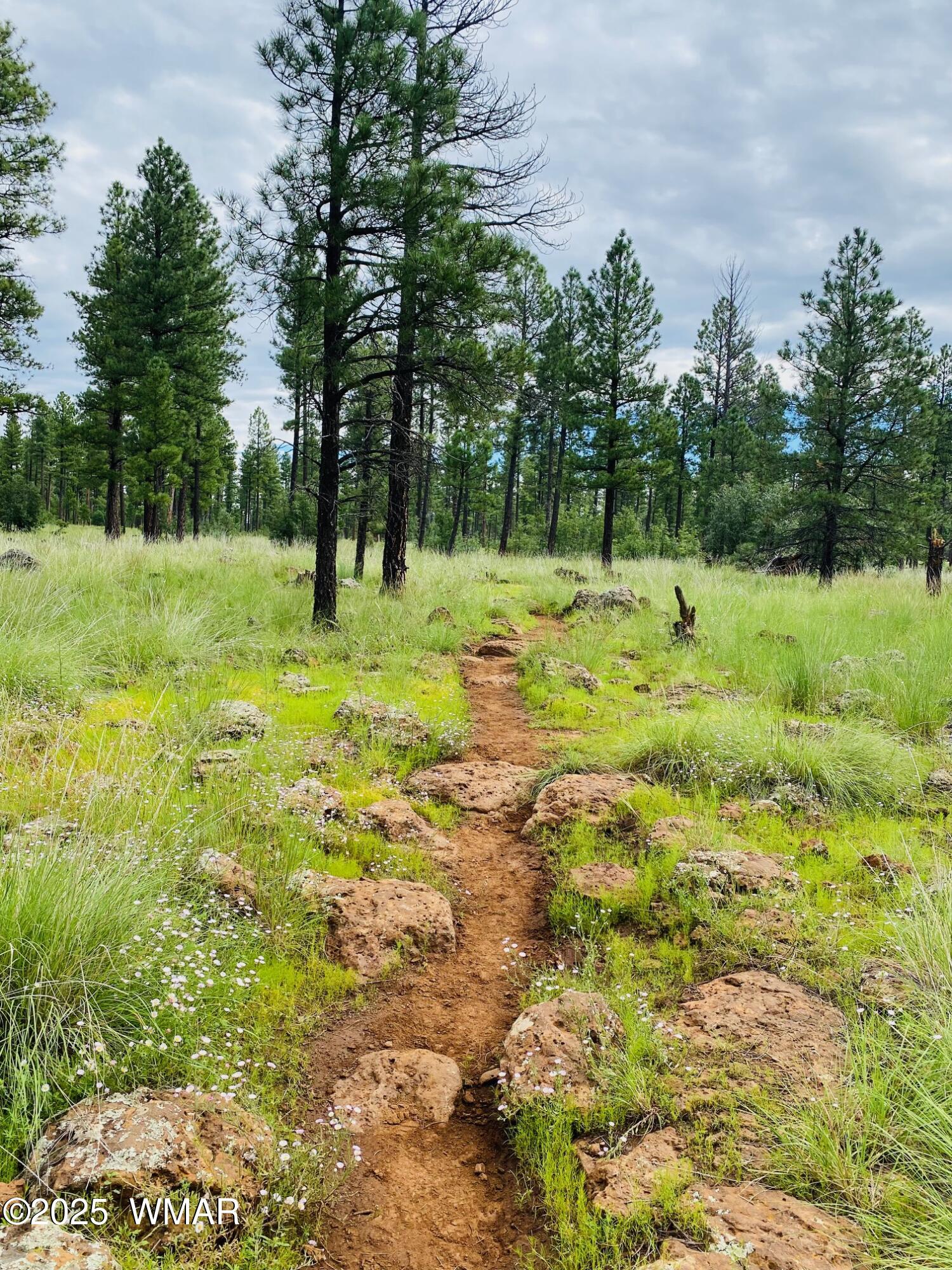 4527 Resort Loop Pinetop, AZ 85935 - Photo 25 of 27 Trails In The White Mountains
