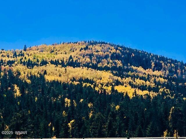 4527 Resort Loop Pinetop, AZ 85935 - Photo 26 of 27 Fall In The White Mountains