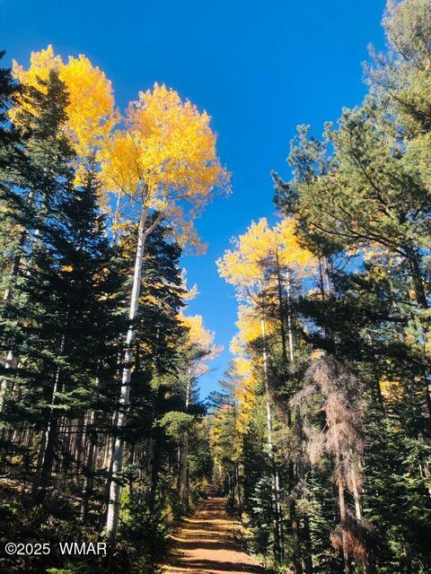 4527 Resort Loop Pinetop, AZ 85935 - Photo 27 of 27 Fall