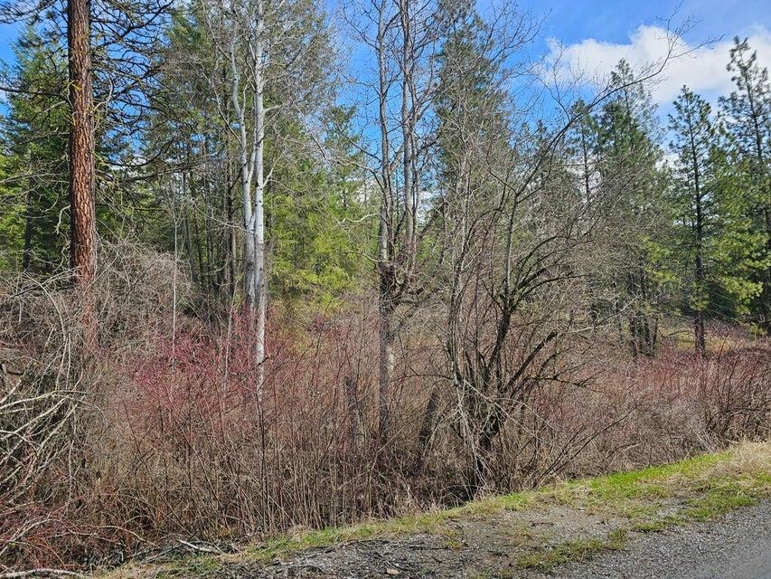 860 Fuhrman Road Kettle Falls, WA 99141 - Photo 14 of 19 Gallery Image 14