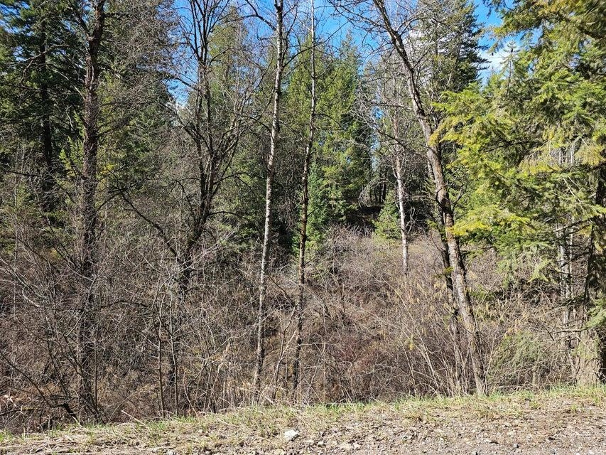 860 Fuhrman Road Kettle Falls, WA 99141 - Photo 4 of 19 Gallery Image 4