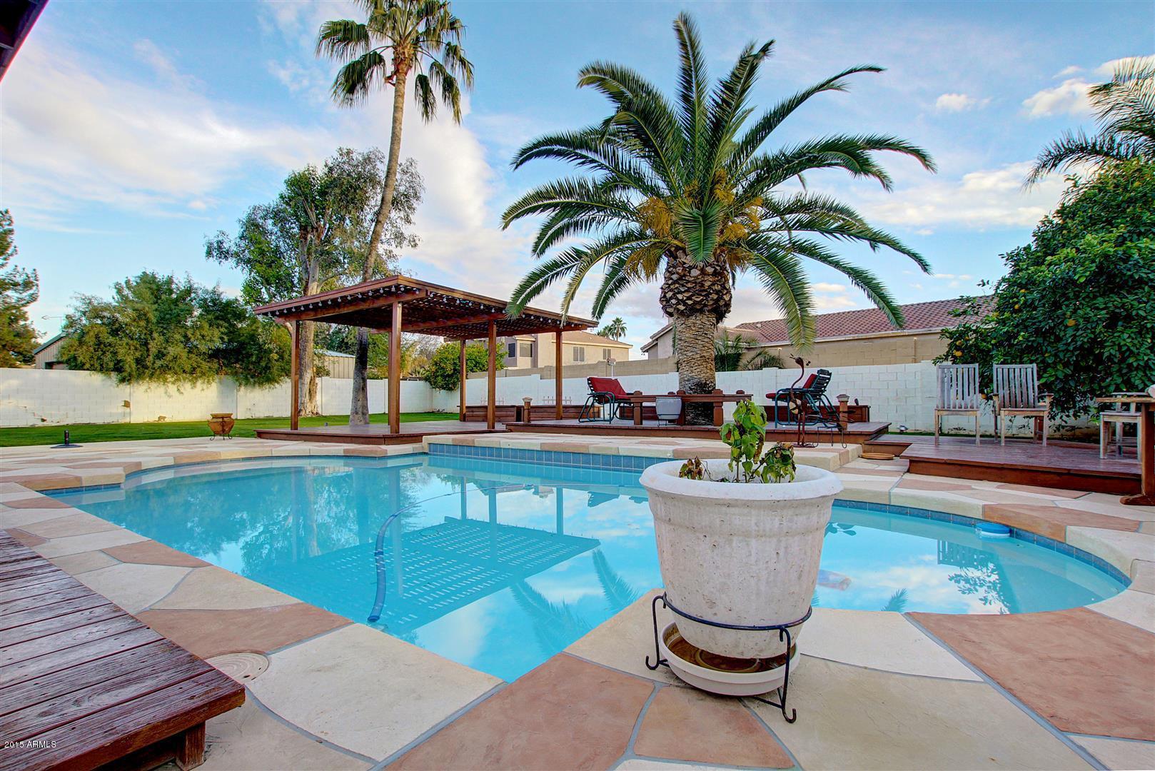 245 East Silver Creek Road Gilbert, AZ 85296 - Photo 18 of 18 0037-Silver Creek (38)