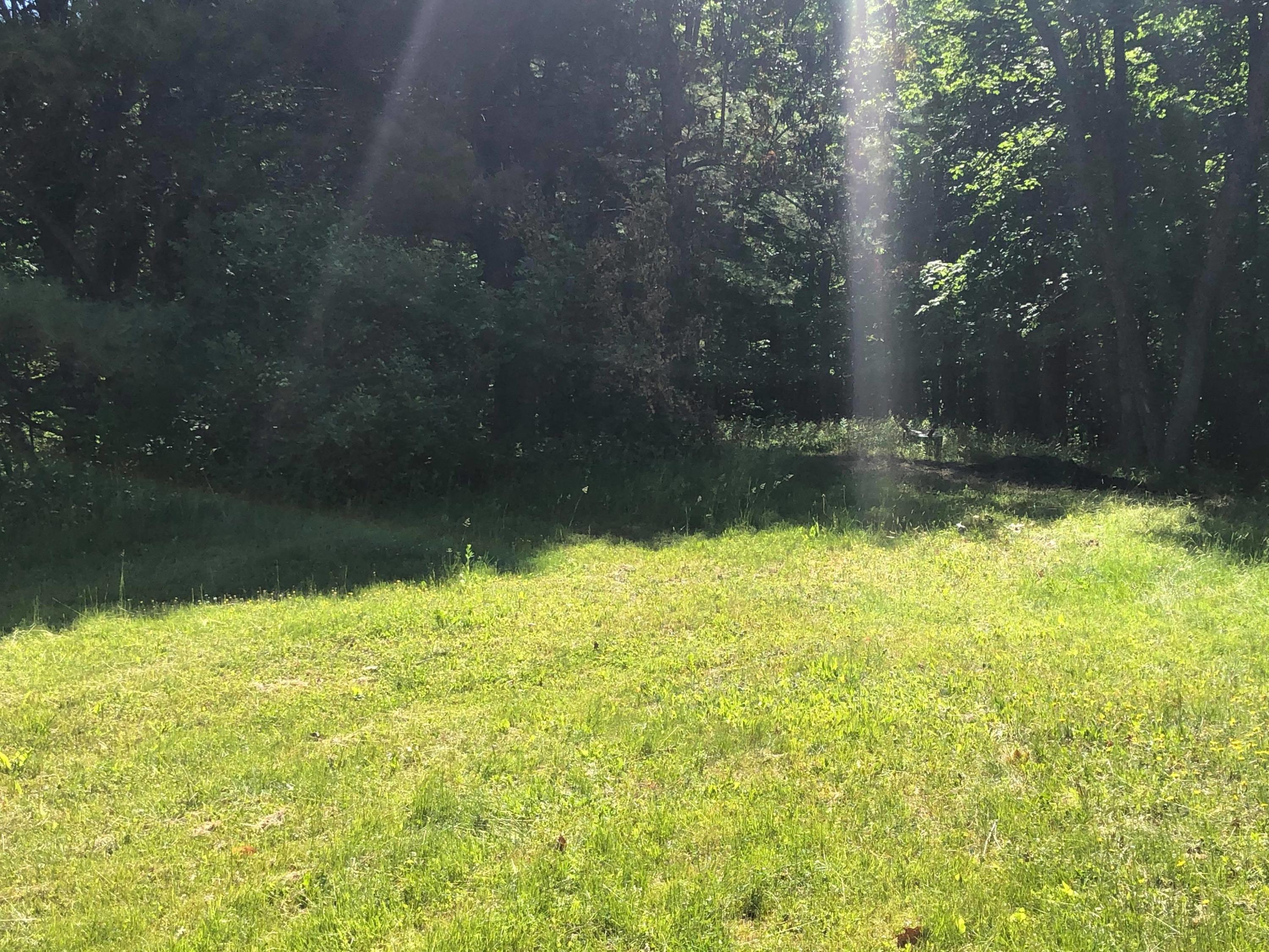 177 Birmingham Road Augusta, ME 04330 - Photo 20 of 26 Lawn
