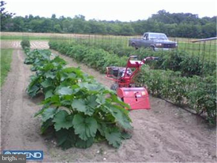 1093 Blue Bell Road Williamstown, NJ 08094 - Photo 18 of 25 Gallery Image 18
