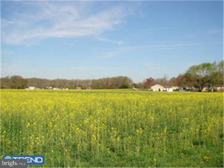 1093 Blue Bell Road Williamstown, NJ 08094 - Photo 24 of 25 Gallery Image 24