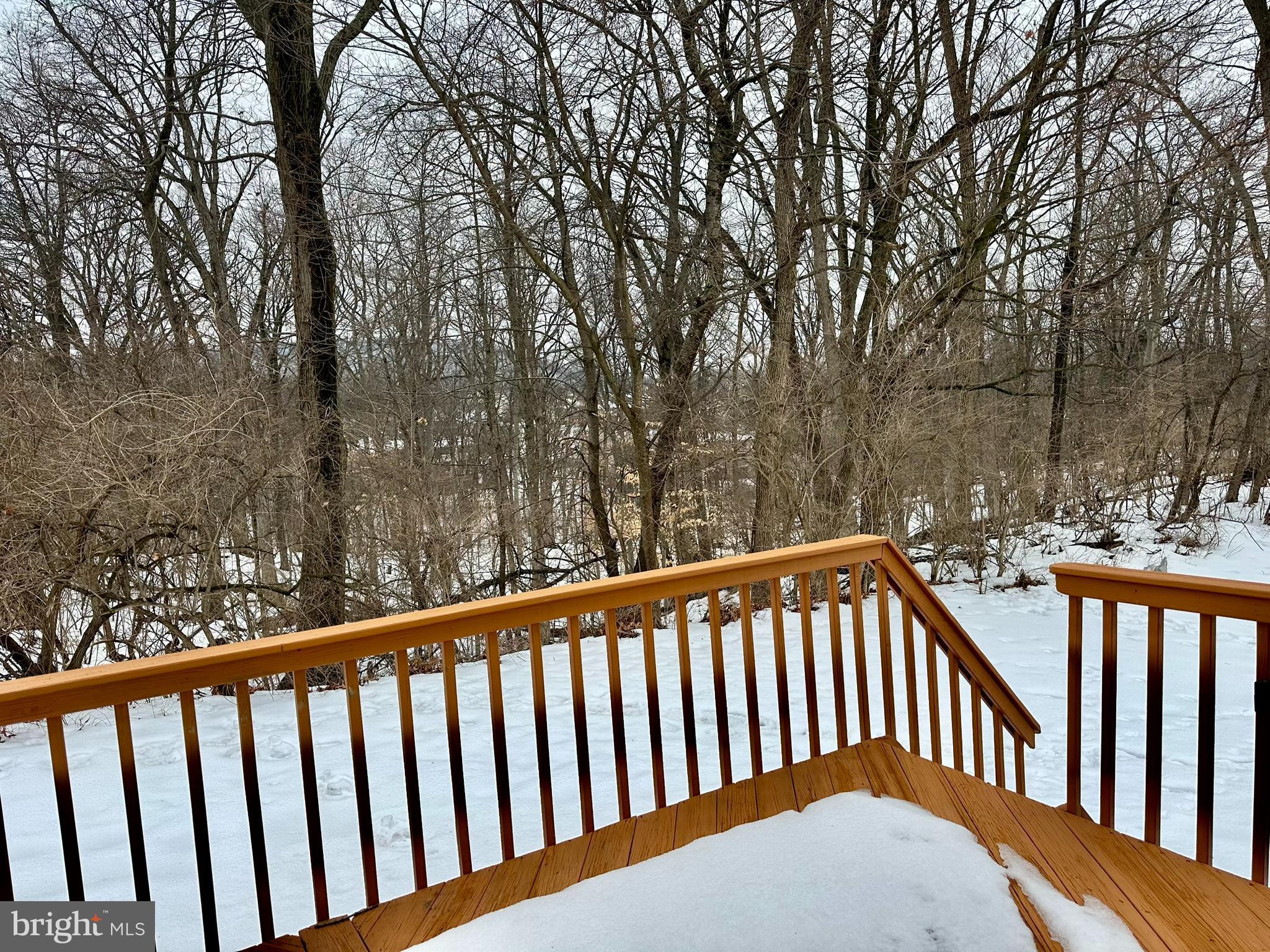 11-1 Cranberry Ridge Reading, PA 19606 - Photo 25 of 25 Rear Deck