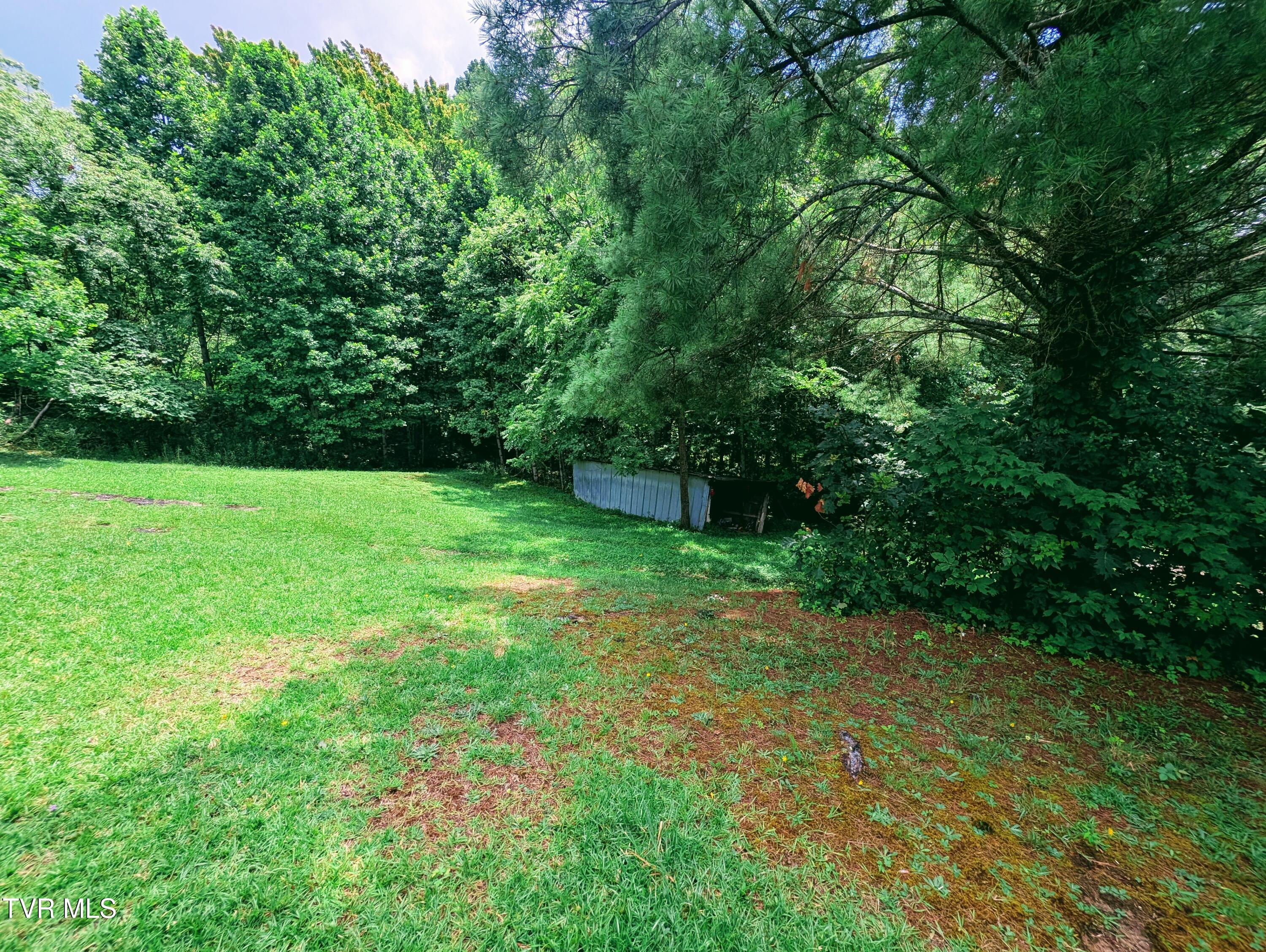 4398 Brushy Ridge Road Nora, VA 24272 - Photo 4 of 28 1000014661